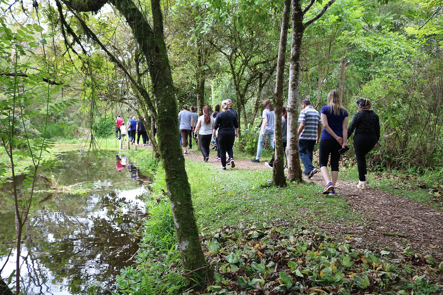 “Banho de Floresta”: terapia para saúde mental e conexão com a natureza