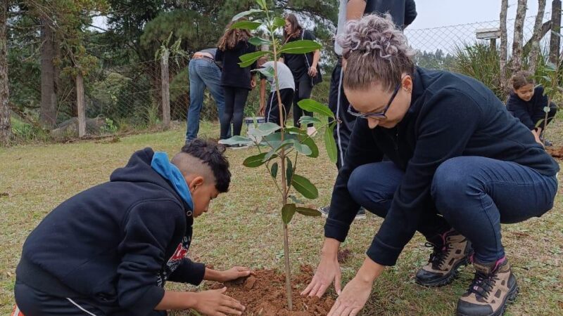 São Bento do Sul celebra o Dia Mundial do Meio Ambiente 