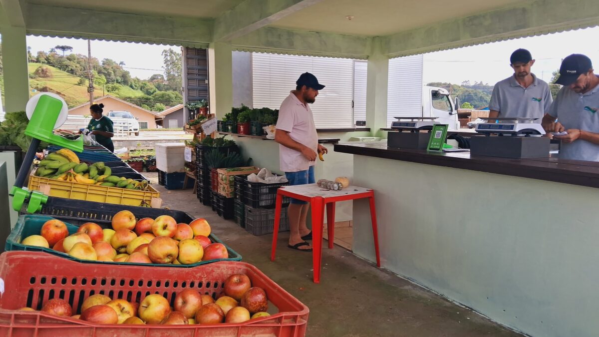 “Câmbio Verde” bate recorde de arrecadação