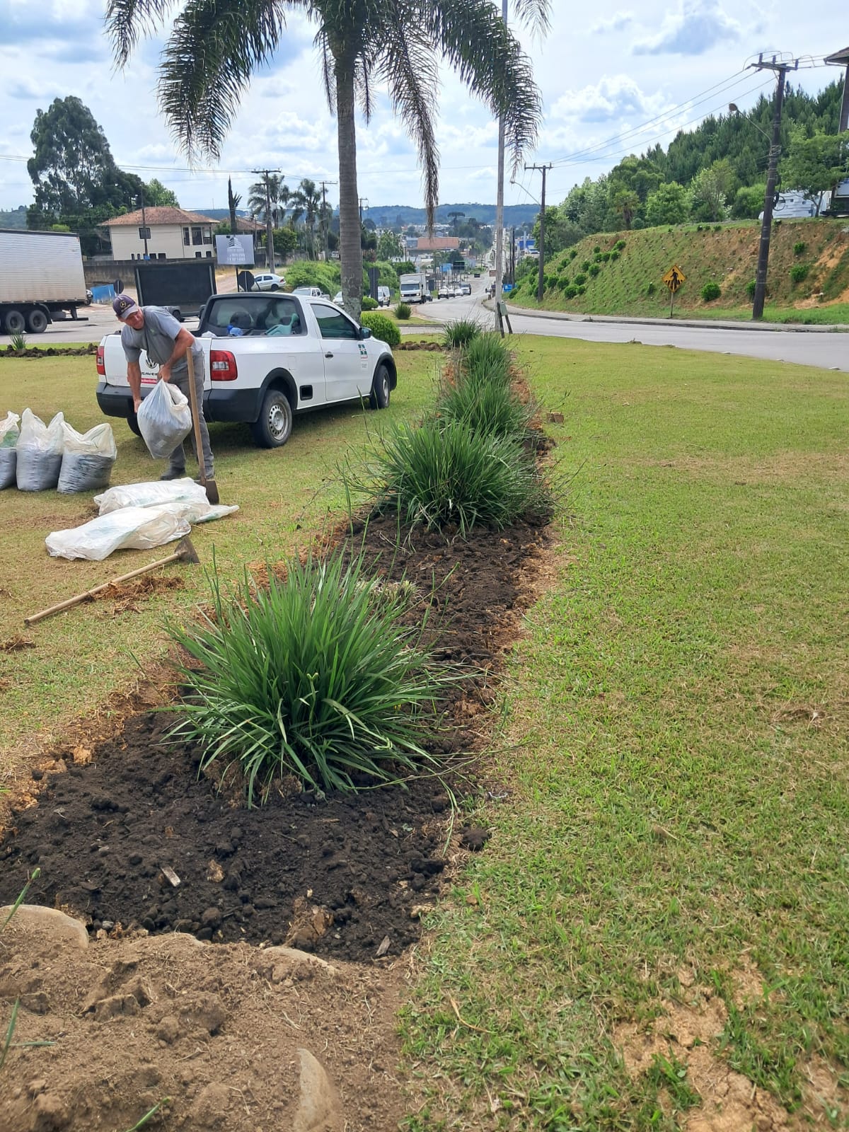 Agricultura intensifica embelezamento em canteiros