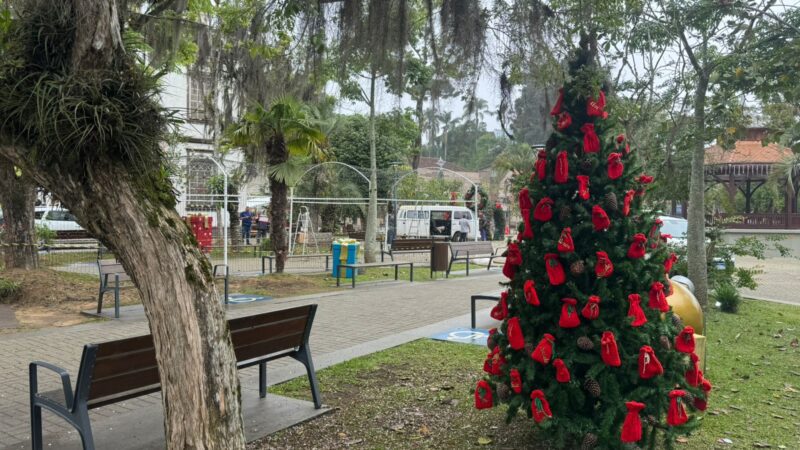 Ajude a preservar a decoração natalina