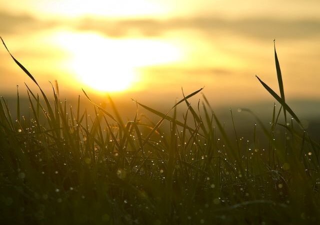 Oeste Catarinense deve registrar menos chuva em fevereiro e março