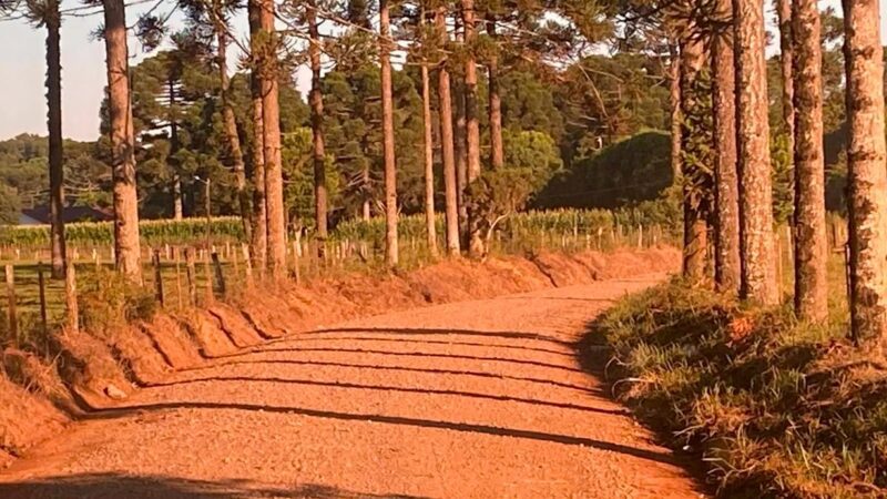 Prefeitura de Papanduva inicia melhorias nas estradas gerais do Palmito e Campina Jungles