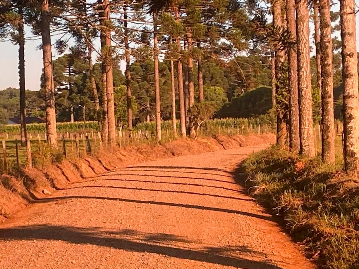 Prefeitura de Papanduva inicia melhorias nas estradas gerais do Palmito e Campina Jungles