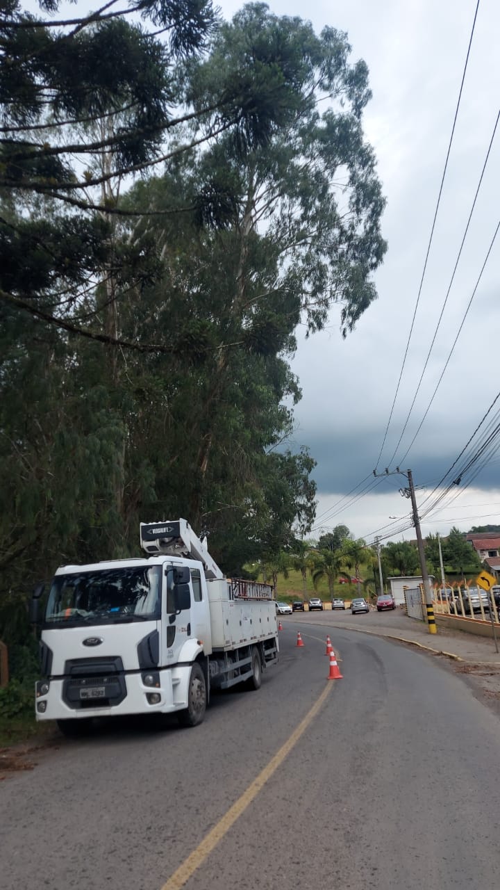 Retirada de árvore na rua Augusto Wunderwald