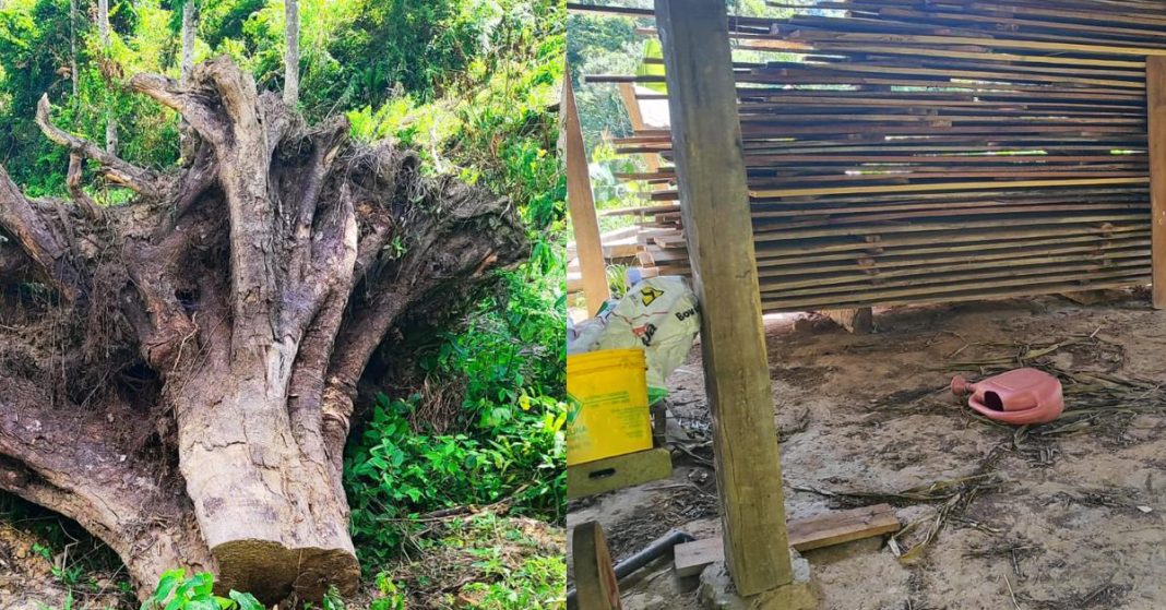 Aumenta tensão em disputa por terras em fazenda Parolin entre Itaiópolis e Santa Terezinha