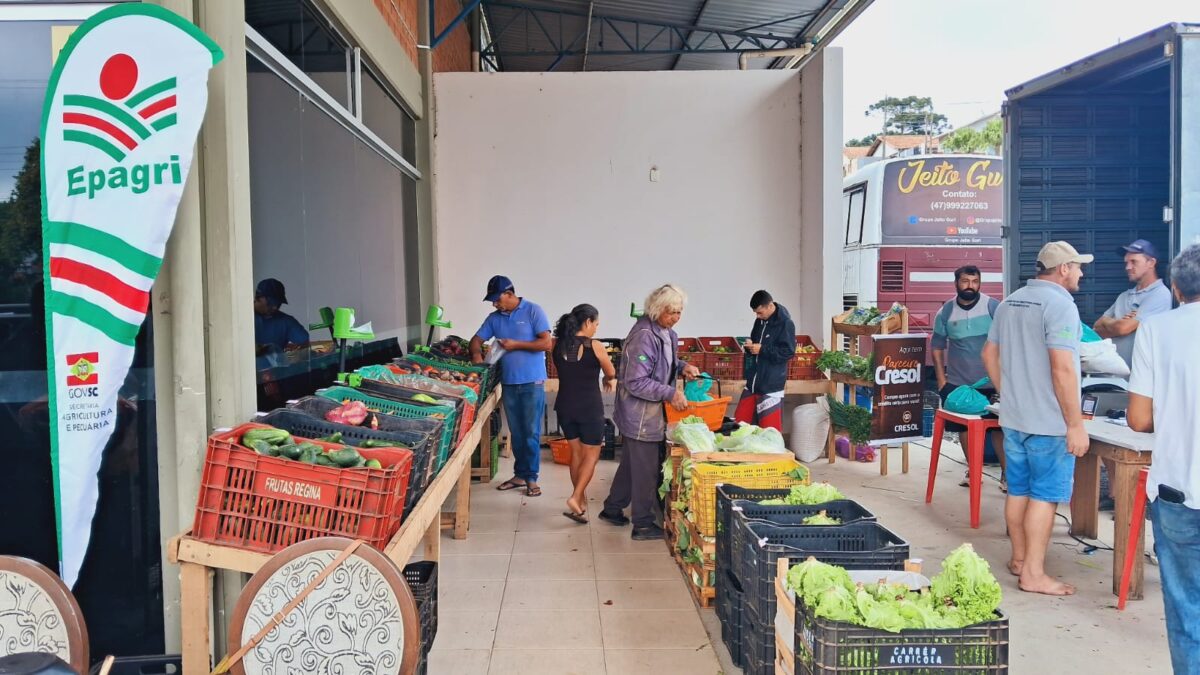 Mais de 4 toneladas de materiais coletadas no Câmbio Verde