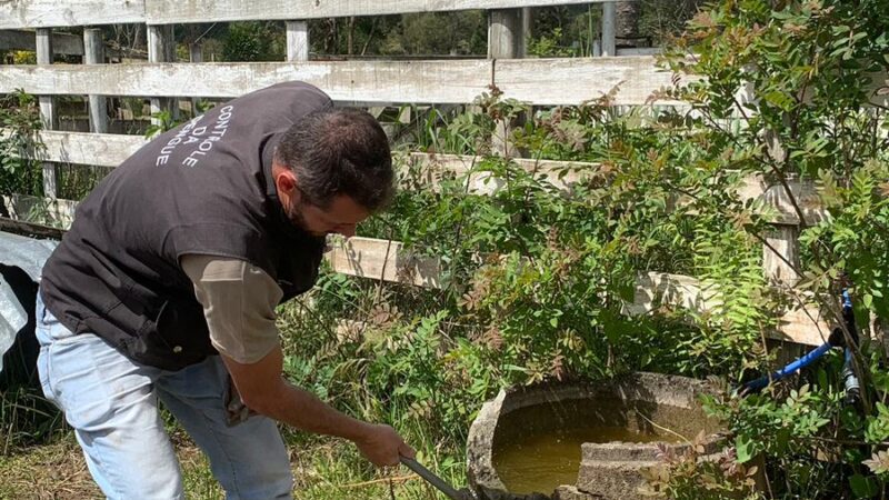 Boletim atualizado sobre a dengue em São Bento do Sul