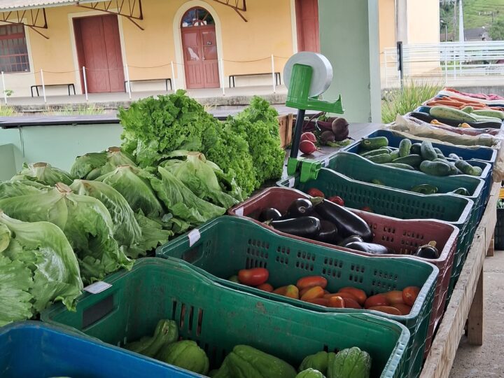 Edição do Câmbio Verde acontece na próxima sexta-feira (7)