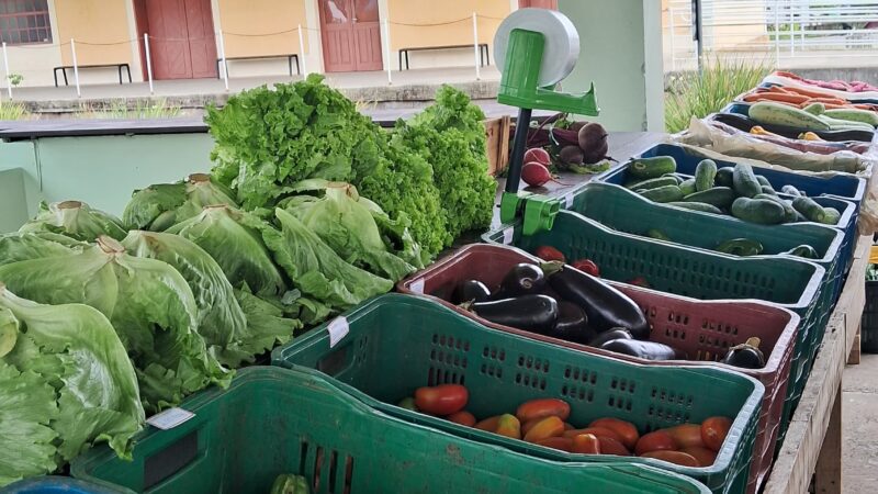 Edição do Câmbio Verde acontece na próxima sexta-feira (7)