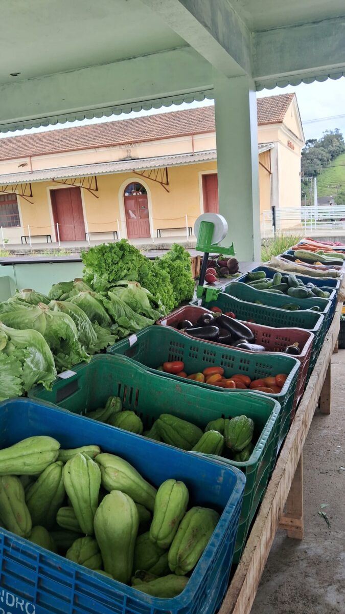 Edição do Câmbio Verde acontece na próxima sexta-feira (7)