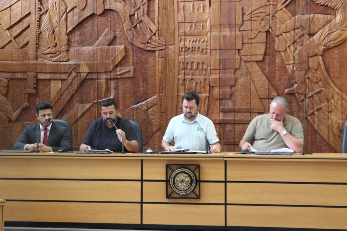 Projetos são tratados em reunião das comissões permanentes