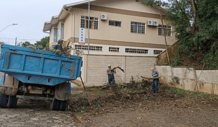5,2 mil coletas de galhos foram realizadas gratuitamente em Canoinhas